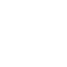 Logo_VW_Erhverv